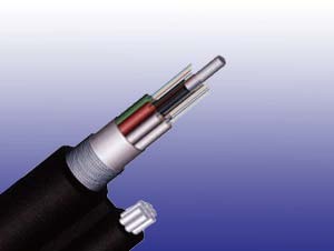 Fig8 Self-supporting Cable