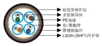 ཬCat 5e S/FTP 0.22mm2 
