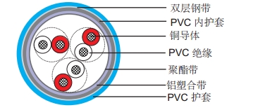 PAS 5308 第一部分1类 PE绝缘+总屏蔽+PVC护套