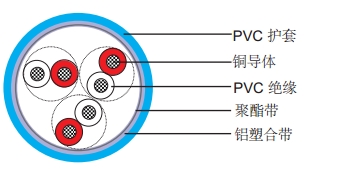 PAS 5308 第一部分1类 PE绝缘+总屏蔽+PVC护套