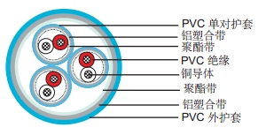 PAS 5308 第一部分1类 PE绝缘+总屏蔽+PVC护套