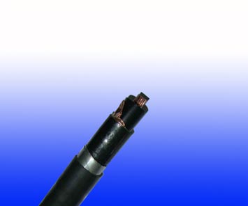 600/1000V XLPE绝缘, LSZH护套, 双钢带铠装电力缆 (2芯)