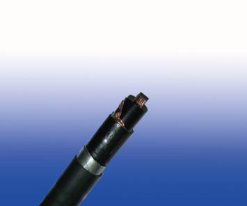 600/1000V XLPE绝缘,LSZH护套,双钢带铠装电力缆(3芯)