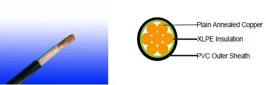 FGD300 05RV-R (CU/XLPE/PVC 300/500V Class 2) 