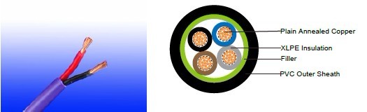 FGD200 07RV-R (CU/XLPE/PVC 450/750V Class 2) 