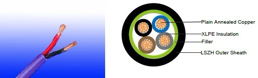 FTX200 07RZ1-R (CU/XLPE/LSZH 450/750V Class 2) 450/750V XLPE Insulated, LSZH Sheathed Power Cables (2-4cores)