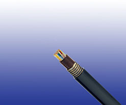 K25 Track Feeder Cables to NF F 55-625 K25 Track Feeder Cables to NF F 55-625