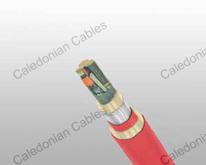P120 RFOU / TFOU-FIRE RESISTANT 3.6/6 (7.2) kV P120 RFOU / TFOU-FIRE RESISTANT 3.6/6 (7.2) kV