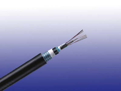 Fiber Optic Cables